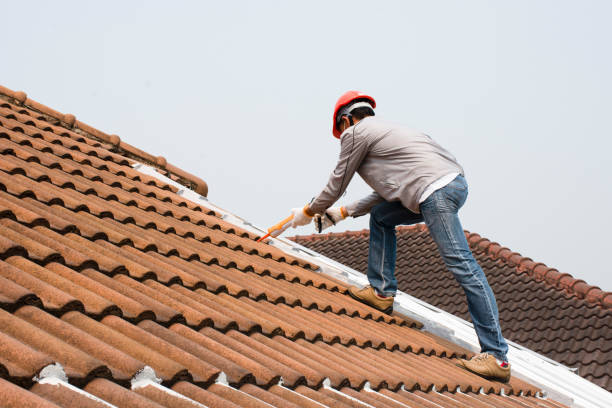 Best Rubber Roofing (EPDM, TPO)  in Pembroke Pines, FL